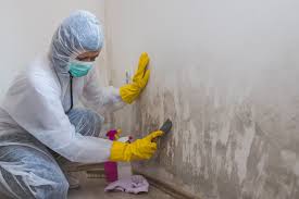 Best Attic Mold Removal  in Beach, ND